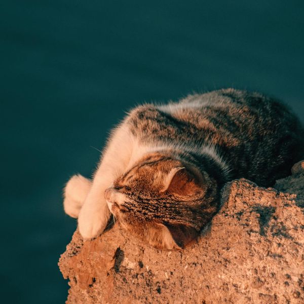 Woman in a calm state with eyes closed, embodying evening tranquility.